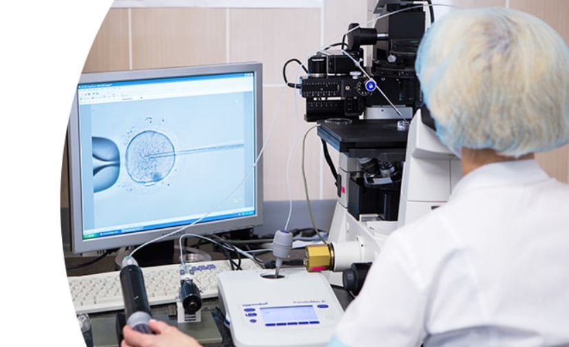 therapie für IVF
