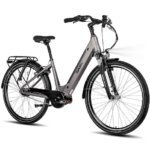 Saxxx E Bike